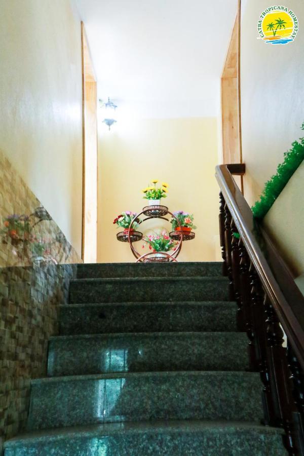 Cat Ba Tropicana Homestay Cat Ba Island Екстер'єр фото